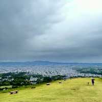 飛鳥山公園：賞花、散步、家庭聚會的理想選擇，寧靜自然樂園