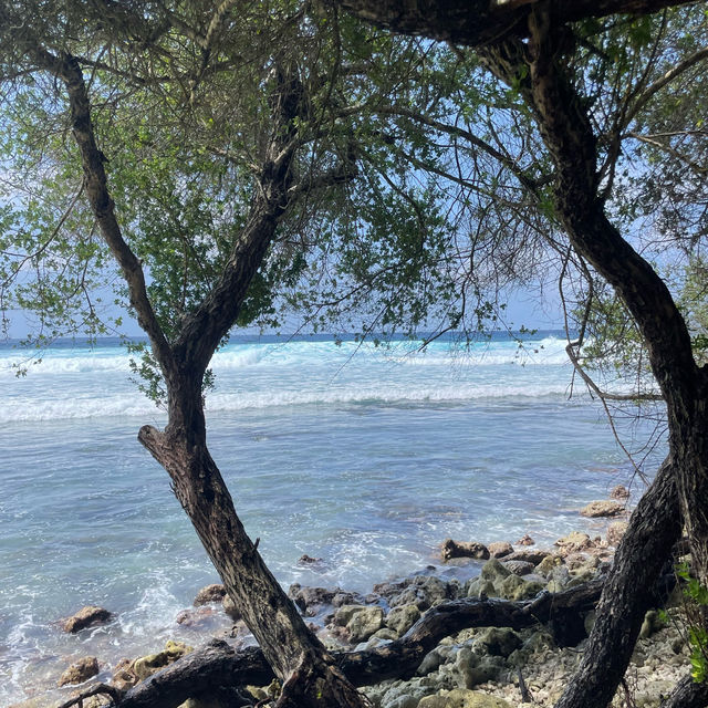 Have I arrived in paradise?