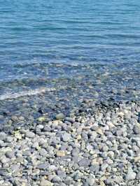 학동몽돌해변에서 여름휴가 보내기🌊