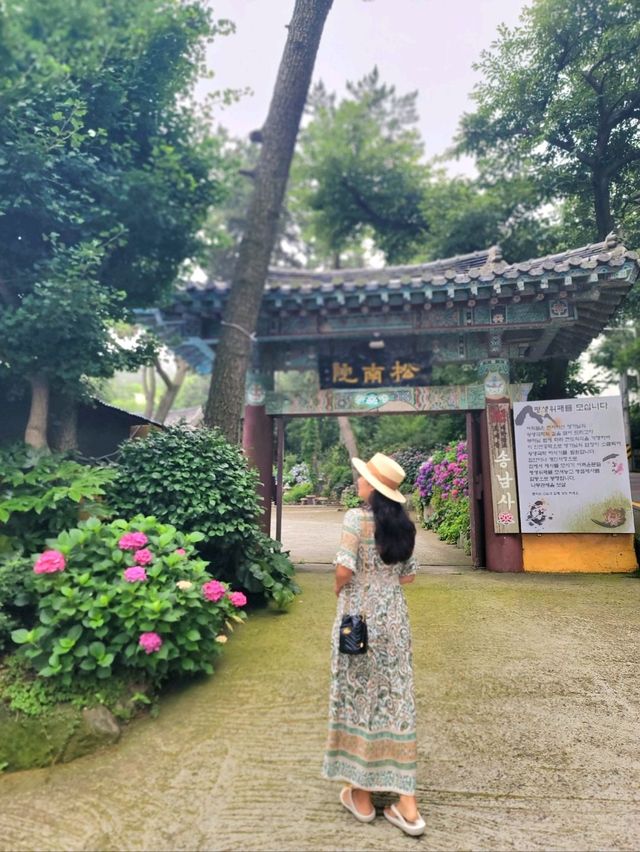 수국이 예쁘게 핀 영도사찰 송남사💜
