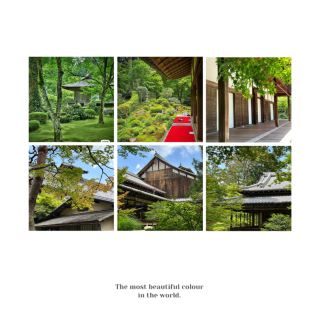 「真言院」寫意靜謐