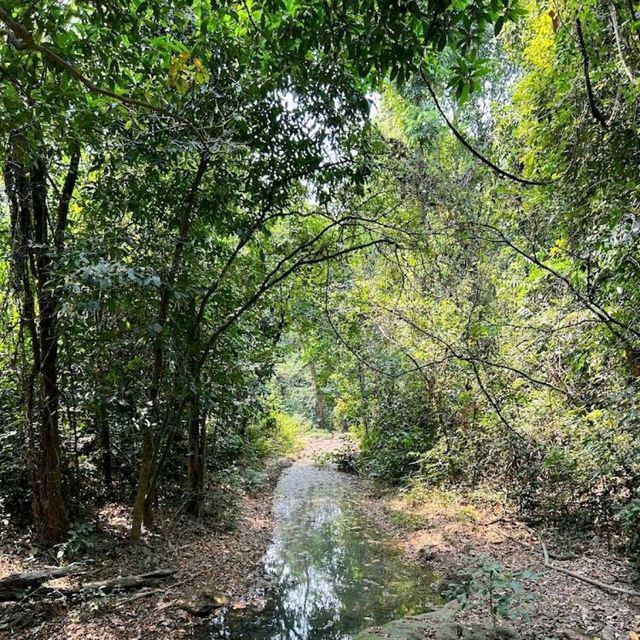 Phu Pha Man National Park
