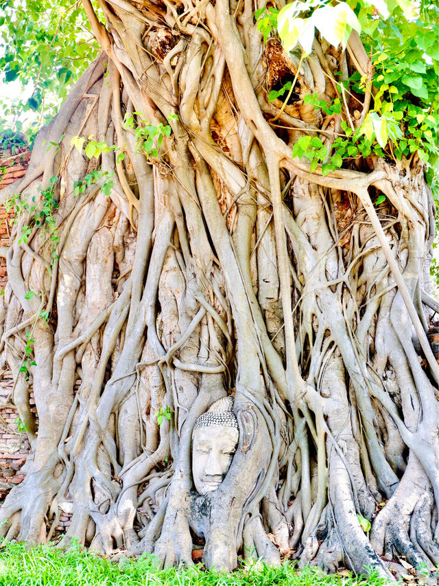 The Most Unique Mystical Place In Thailand 🇹🇭✨