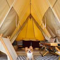 ห้องพักสไตล์แคมป์ปิ้ง 🌳 SOL Glamping Khaoyai