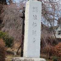 花之寺廟+杜鵑奇景