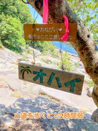 【三重 尾鷲市】本当は秘密にしておきたいとっておきの絶景スポット オハイ(大配)