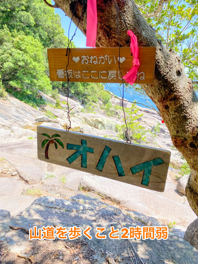 【三重 尾鷲市】本当は秘密にしておきたいとっておきの絶景スポット オハイ(大配)