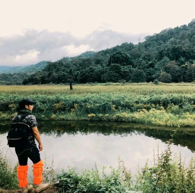เที่ยวหน้าฝน ฮาลา-บาลา ผืนป่าแห่งความสมดุล