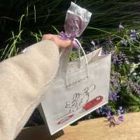 カロスキルにあるAROMATICAの店舗🤍✨