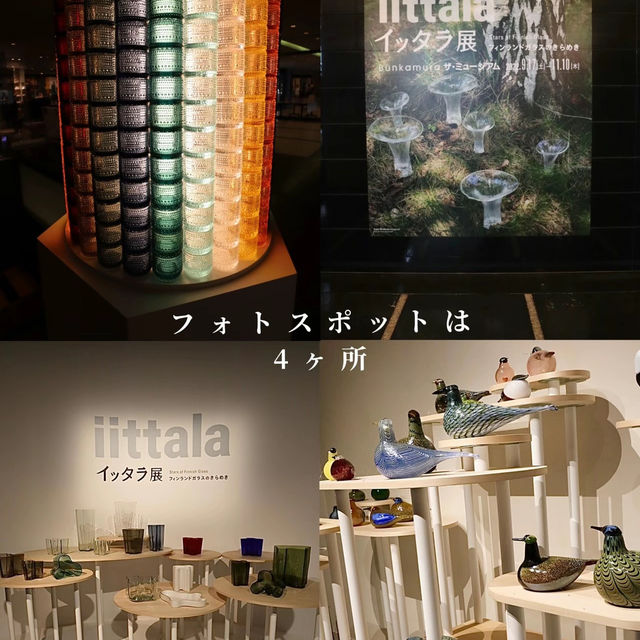【渋谷】\予算5000円/アートな渋谷で遊ぼう！