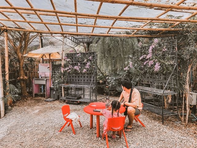 ที่เที่ยวสำหรับครอบครัว@บางแพ ราชบุรี