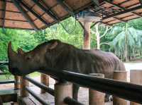 รีวิว สวนสัตว์เปิดเขาเขียว 🦏🐘🐅