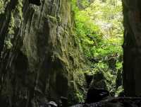 Mulu Caves: Clearwater / Wind Show Caves