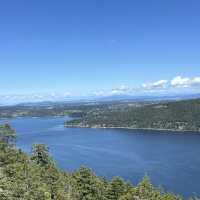 Malahat Skywalk-breathtaking views!! 