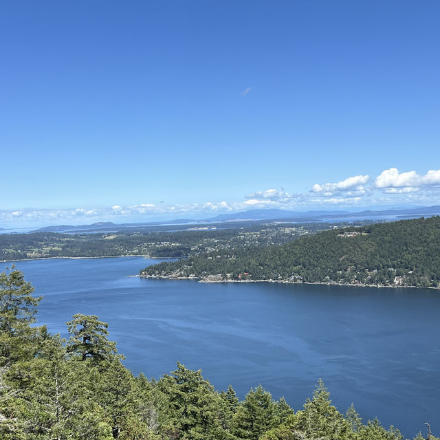 Malahat Skywalk-breathtaking views!! 
