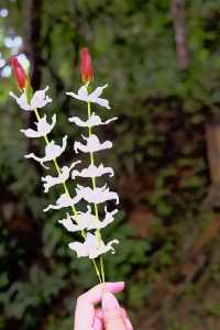 วัดสมเด็จ(เก่า) กาญจนบุรี