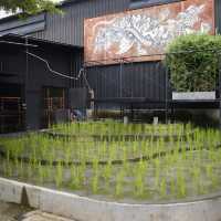 Our Farm ฟาร์มเราเอง Cafe & Restaurant