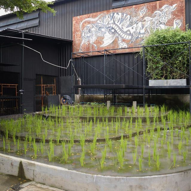 Our Farm ฟาร์มเราเอง Cafe & Restaurant