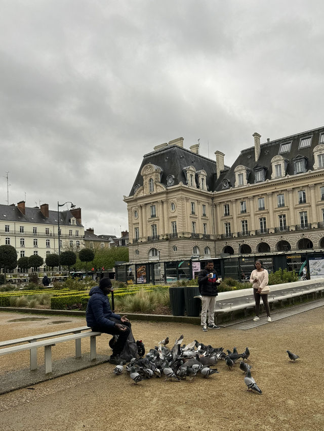 Rennes, Historic Charms