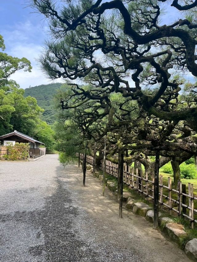 【香川・高松】栗林公園で日本の夏を堪能♪