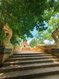 A Colourful Temple in Thailand with A Skywalk to View Into Laos
