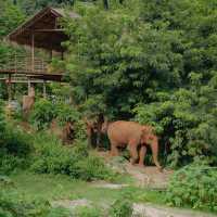 The River Flows Camp 