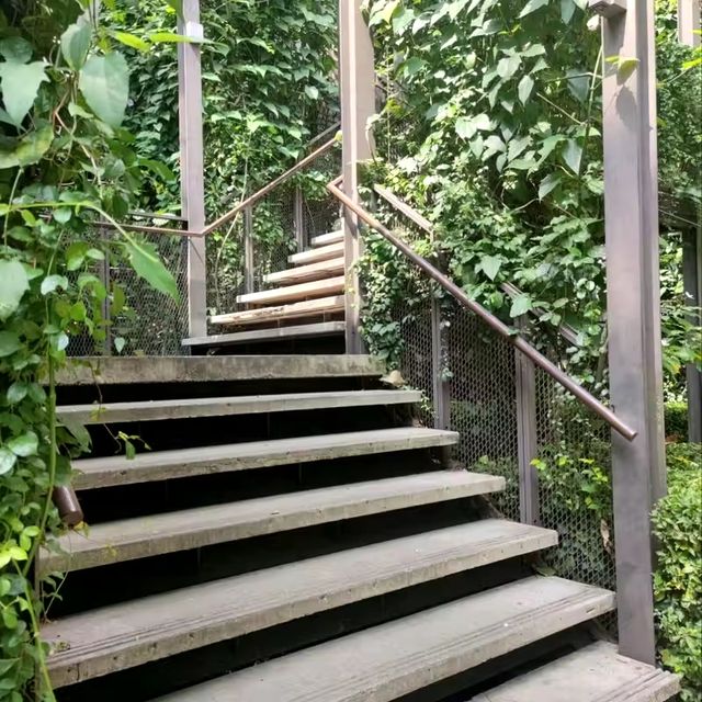 🇲🇾 Green Vibes and Photo-Op Spots at Tamarind Square