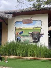  🏕️📍Recall Isaan Isan Concept at Khaoyai