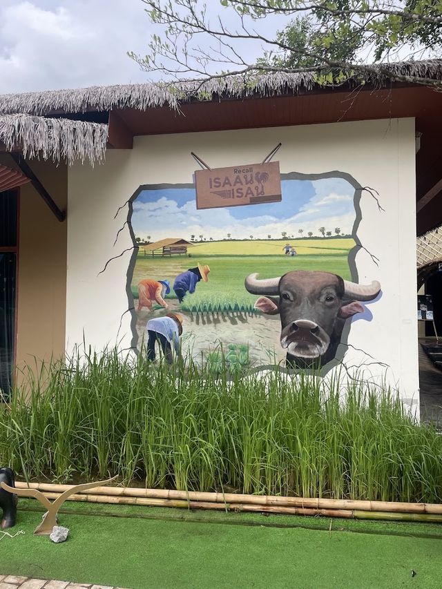  🏕️📍Recall Isaan Isan Concept at Khaoyai