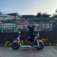 스쿠터타고 섬 한바퀴🛵 가을맞이 신시모도 야외데이트