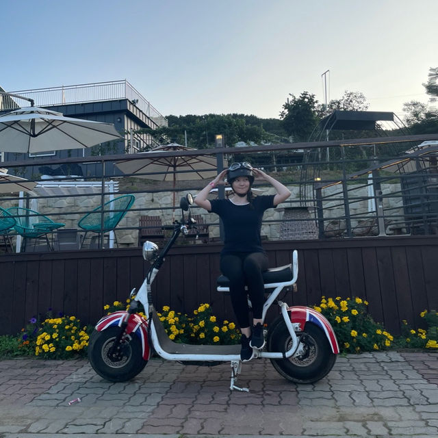 스쿠터타고 섬 한바퀴🛵 가을맞이 신시모도 야외데이트