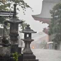 【大阪景點】西之丸庭園：雨中迷人景色～享受日本庭院風情