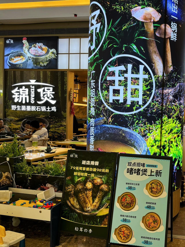 15款野生菌你食過幾多？😎