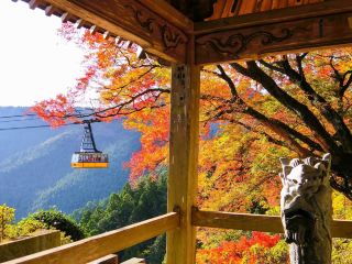 รถกระเช้าไทริวจิ