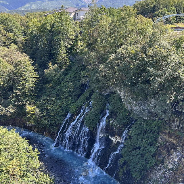 最純粹的藍，北海道的絕美幻境：青池