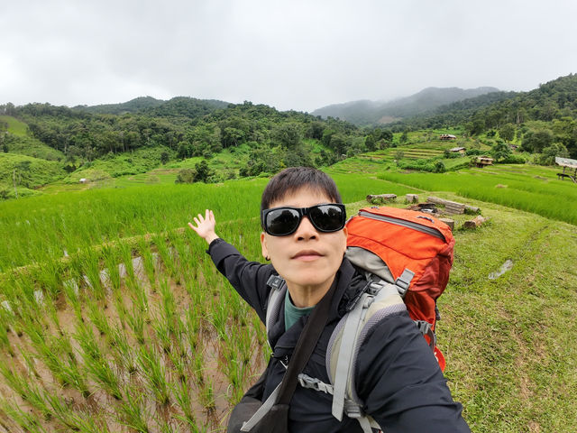 นาขั้นบันได บ้านปางมะโอ  คนละ 650 บาท