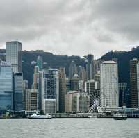**Star Ferry Water Tour: Celebrate a Line Brown Birthday in Hong Kong**
