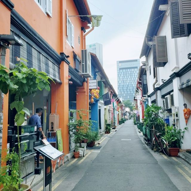 新加坡探索之旅 (中）