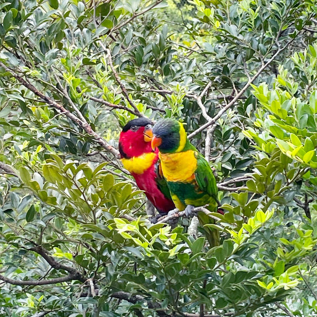 Bird paradise fun for the whole family!