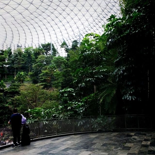 星耀樟宜：景觀、購物、美食的天堂