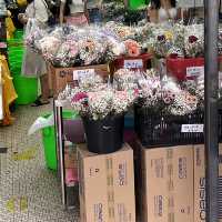 A day out from Bukit Nanas to Chinatown and to Central Market