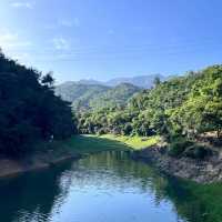 🌲 棲蘭森林遊樂區～自然風光滿滿