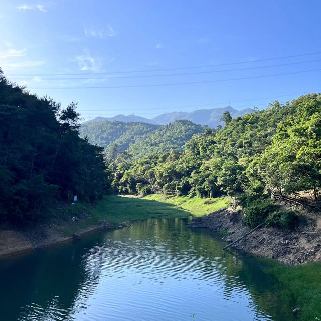 🌲 棲蘭森林遊樂區～自然風光滿滿
