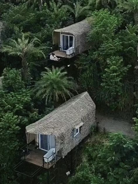 The Pandora Camp เขาใหญ่  ⛰️