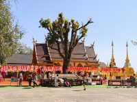 รีวิว วัดพระธาตุดอยตุง🛕(แนะนำการขอพร) 