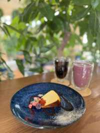 【福岡カフェ】室内なのにグリーンがいっぱいの癒し系カフェ🌿