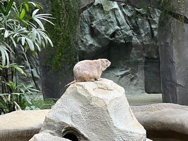 沢山の動物達🐆🦦と触れ合える場所