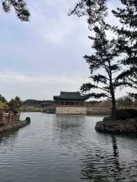 경주 여행가서 안갈 수 없는 곳 ‘동궁과 월지’🇰🇷