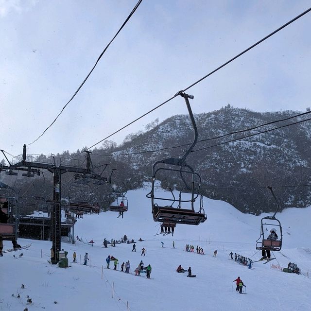 新潟景點|新潟越後湯澤超人氣滑雪場—苗場滑雪場(苗場スキー場Naeba) 新潟景點|新潟越後湯澤超人氣滑雪場—苗場滑雪場(苗場スキー場Naeba)