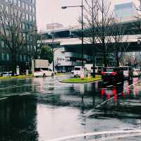 本町ほんまち（せんばにし）雨中邂逅